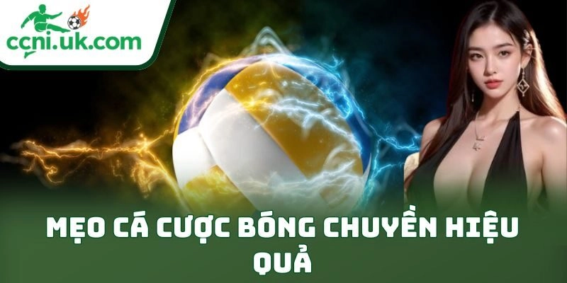 Mẹo Cá Cược Bóng Chuyền Hiệu Quả: Bí Kíp Thắng Đỉnh Cao