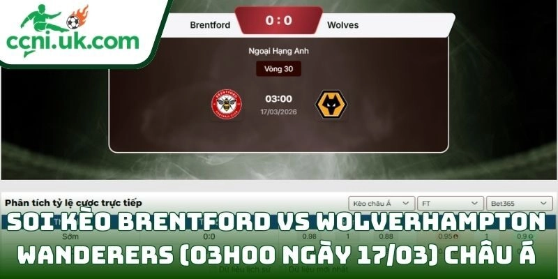 Soi kèo Brentford vs Wolverhampton Wanderers (03h00 ngày 17/03) châu Á